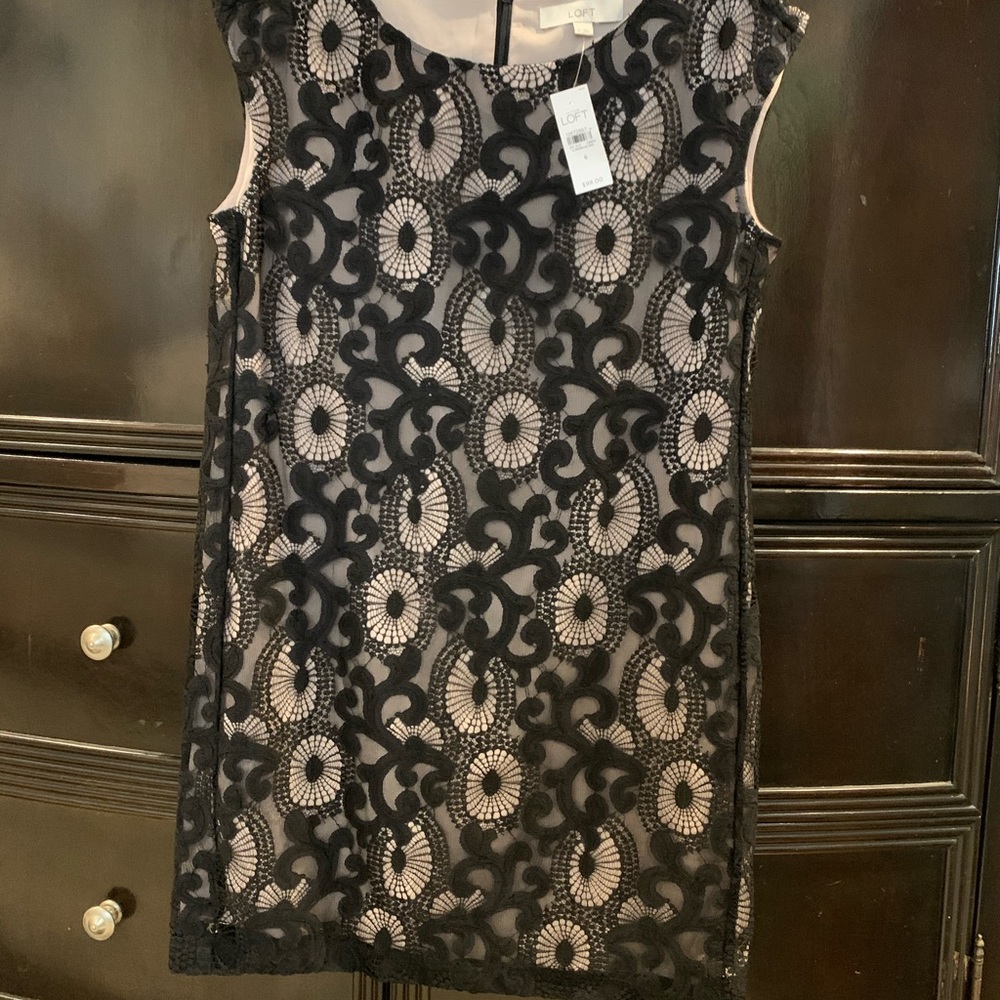 Loft lace dress